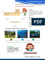 Organización y Clasificación de Los Ecosistemas