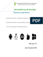 Virtualización SO Windows Server