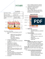 Anatomy 3-4