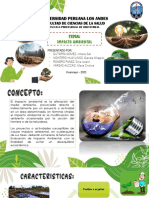 Impacto Ambiental - Exposición