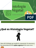 Botanica Histología Vegetal Tejidos