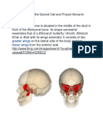 Sphenoid