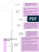 Reglas Generales de La Prueba