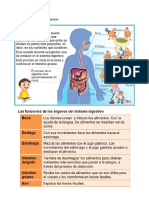 Fichas Del Sistema Digestivo