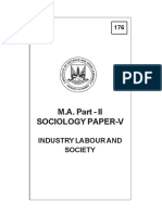 Paper 5 Labour and Society