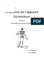 Tome 1 Lostéologie Du Membre Inférieur