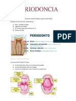 El Periodonto