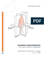 Planos Anatomicos