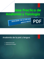 13.-Anatomía de La Piel y Lengua.