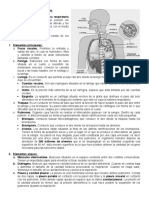 Sistema Respiratorio