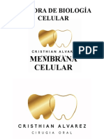 Clase 3 Menbrana Plasmatica y Difusion