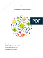 TAE Microorganismos Equipo2