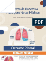 Derrame Pleural y Neumotorax