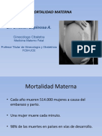 Mortalidad Materna 2020