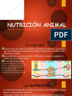 Nutrición Animal Def