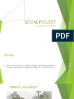 Social Project