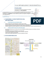 Bioenergética y Metabolismo