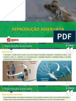 Reprodução Assexuada