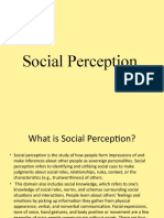 Social Perception