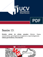 Clase 11 División de Células Sexuales