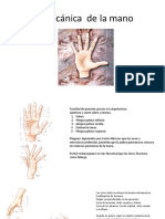 Biomecánica de La Mano 2