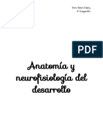 Temario Anatomía 4º