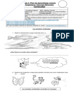 2 Básico Ciencias Naturales Guía Plan de Aprendizaje Remoto Nº 3 Continuidad