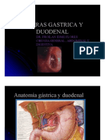 Lcera Gástrica y Duodenal