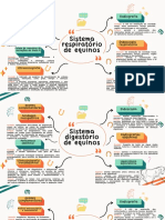 Mapa Mental Sistema Digestorio, Respiratorio e Locomotor de Equinos