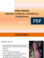 Comprension Reino Animal II