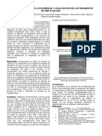 Práctica 6 y 7 Molecular.-2