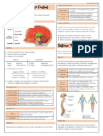 Anatomia e Patologia