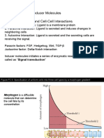 DevBio Ch04 Part2