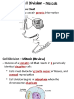 Meiosis Powerpoint