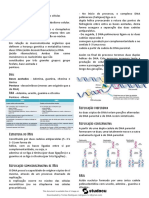 Resumos Completos Da Materia Biologia 11º para Exame Nacional 11 Ano