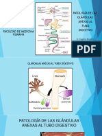 Patología Glándulas Anexas Al Tubo Digestivo 2022