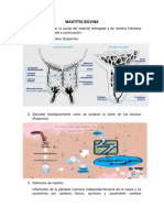 Caso 5 Mastitis