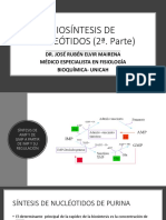 BIOSÍNTESIS DE NUCLEÓTIDOS 2a. PARTE