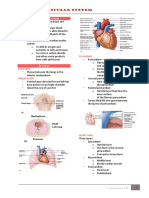 Cardiovascular System - Reviewer