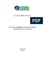 DISSERTAÇÃO - Avaliação de Híbridos de Milho Visando À Biofortificação Com Zinco