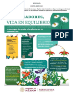 Infografía Pólinizadores