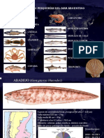 6 - Pesquerías Mar Argentino-1