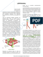 RESUMEN BCM HISTOLOGIA Zoom 1