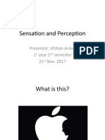 Sensation and Perception