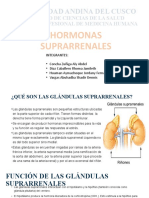 Hormona Suprarrenal