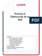 Práctica 6. Elaboración de Un Fósil