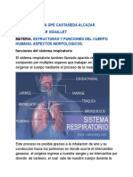 Anat - Cire