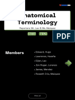 Anatomical Terminology Group 3