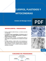 Clase 9 Microcuerpos, Plastidios, Mitocondrias VETER AGRONO 2020 20