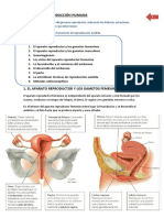 Bloque III - Anatomía y Fisiología3